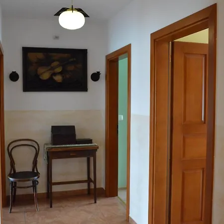 Amel Orawa Проживание в семье *