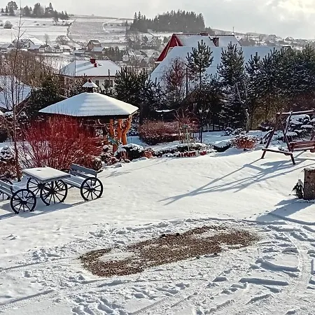 Проживание в семье Amel Orawa