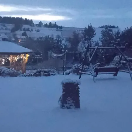 Проживание в семье Amel Orawa *